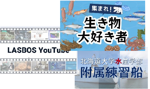 海と生き物を学ぶ北海道大学のLASBOS（ラスボス）