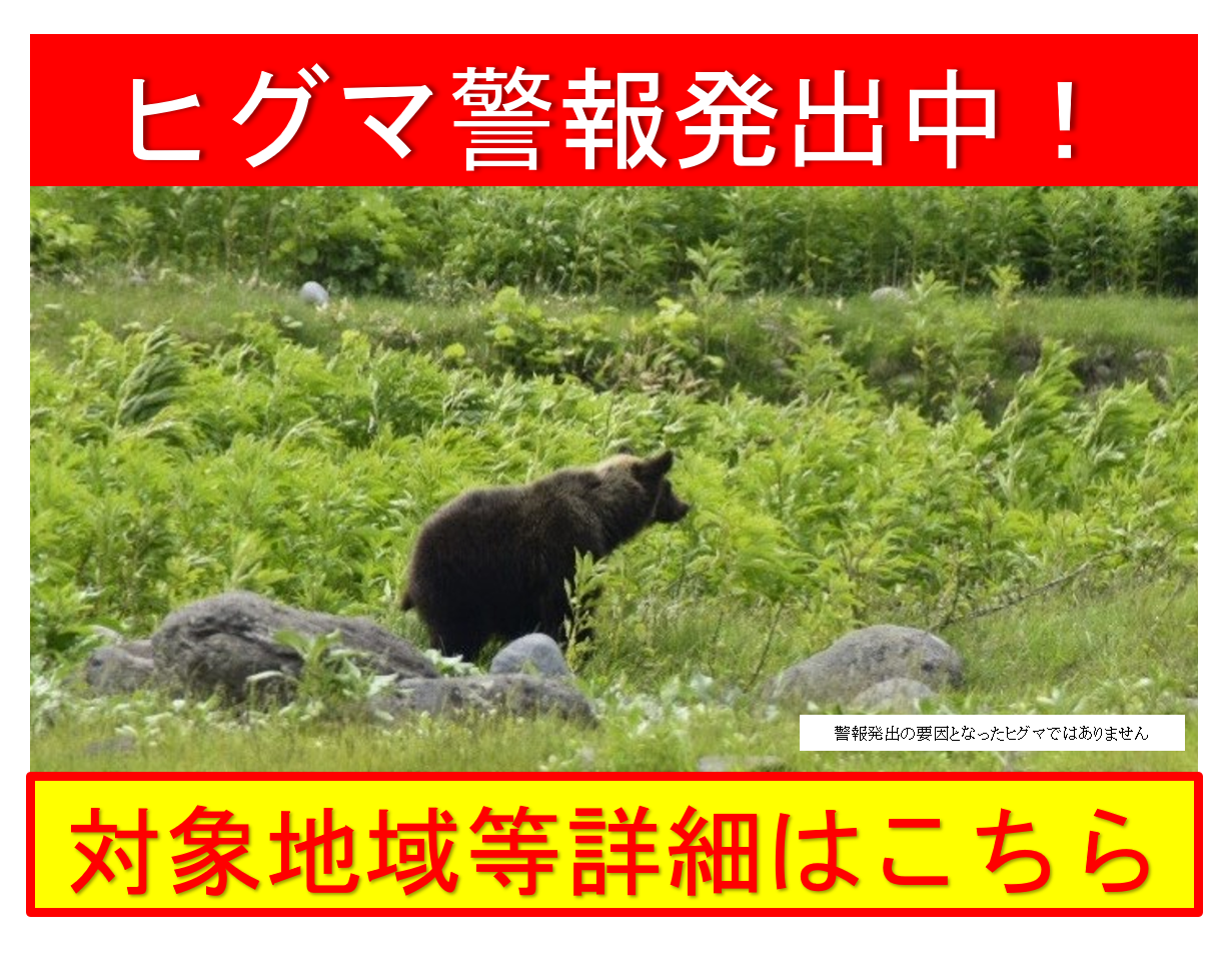 HP掲載用2(詳細はこちら) (PNG 1.23MB)
