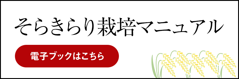 bnr_mannual_book (PNG 51.3KB)