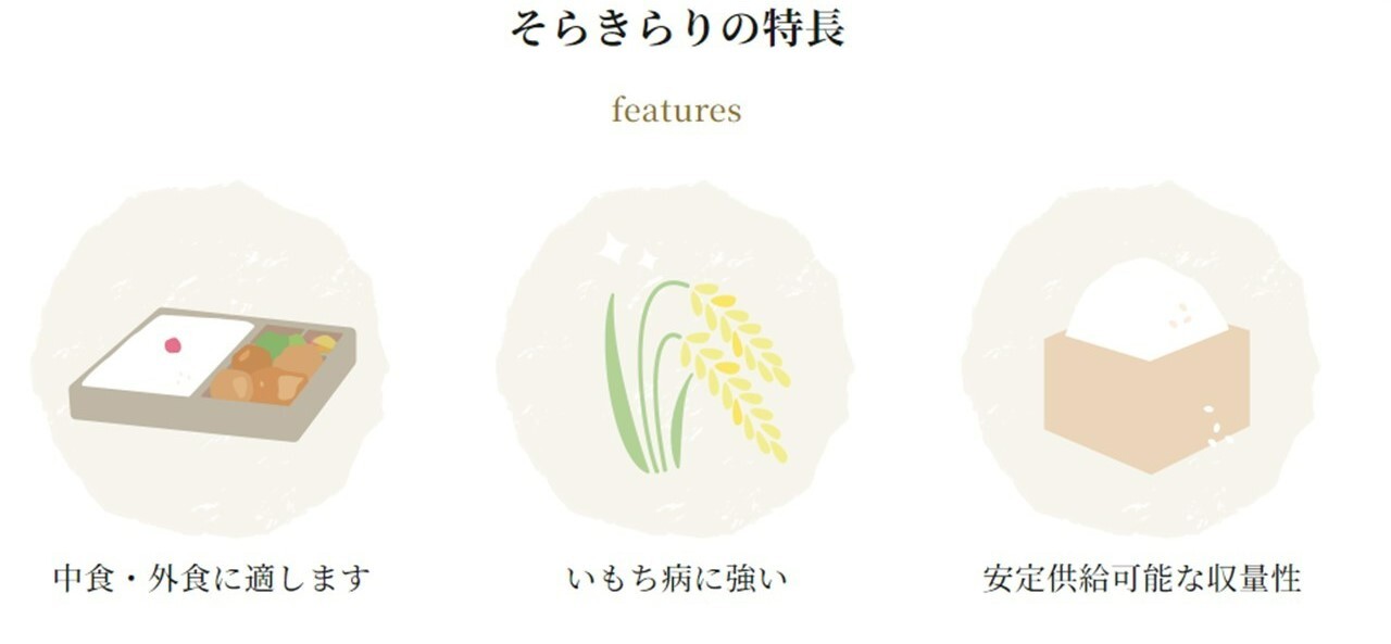 特徴.jpg