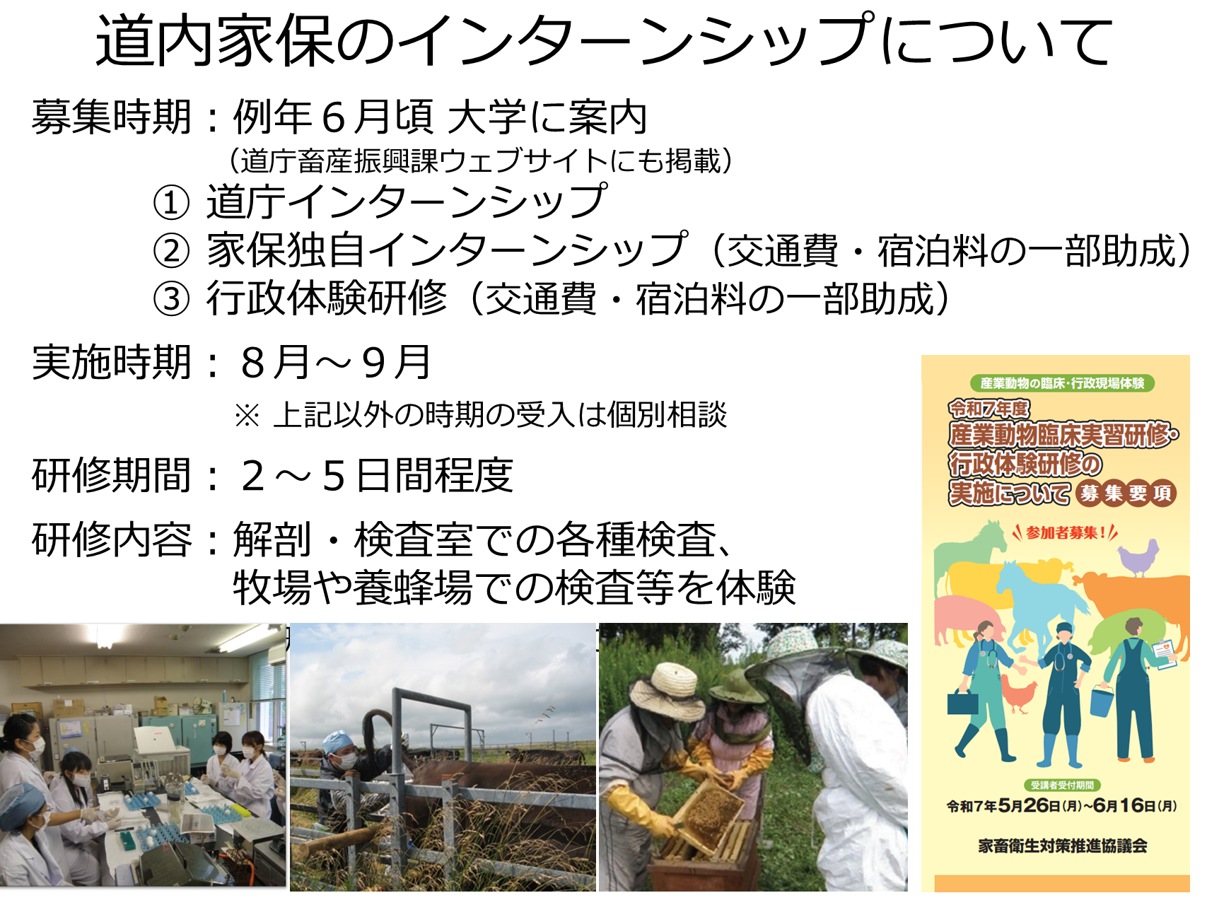R07 インターンシップ案内(R7.7).PNG