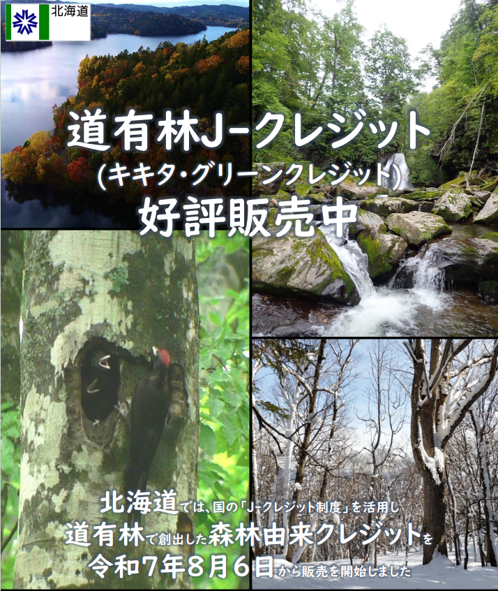 道有林J-クレジットは好評販売中