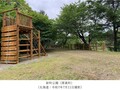 令和7年7月11日撮影