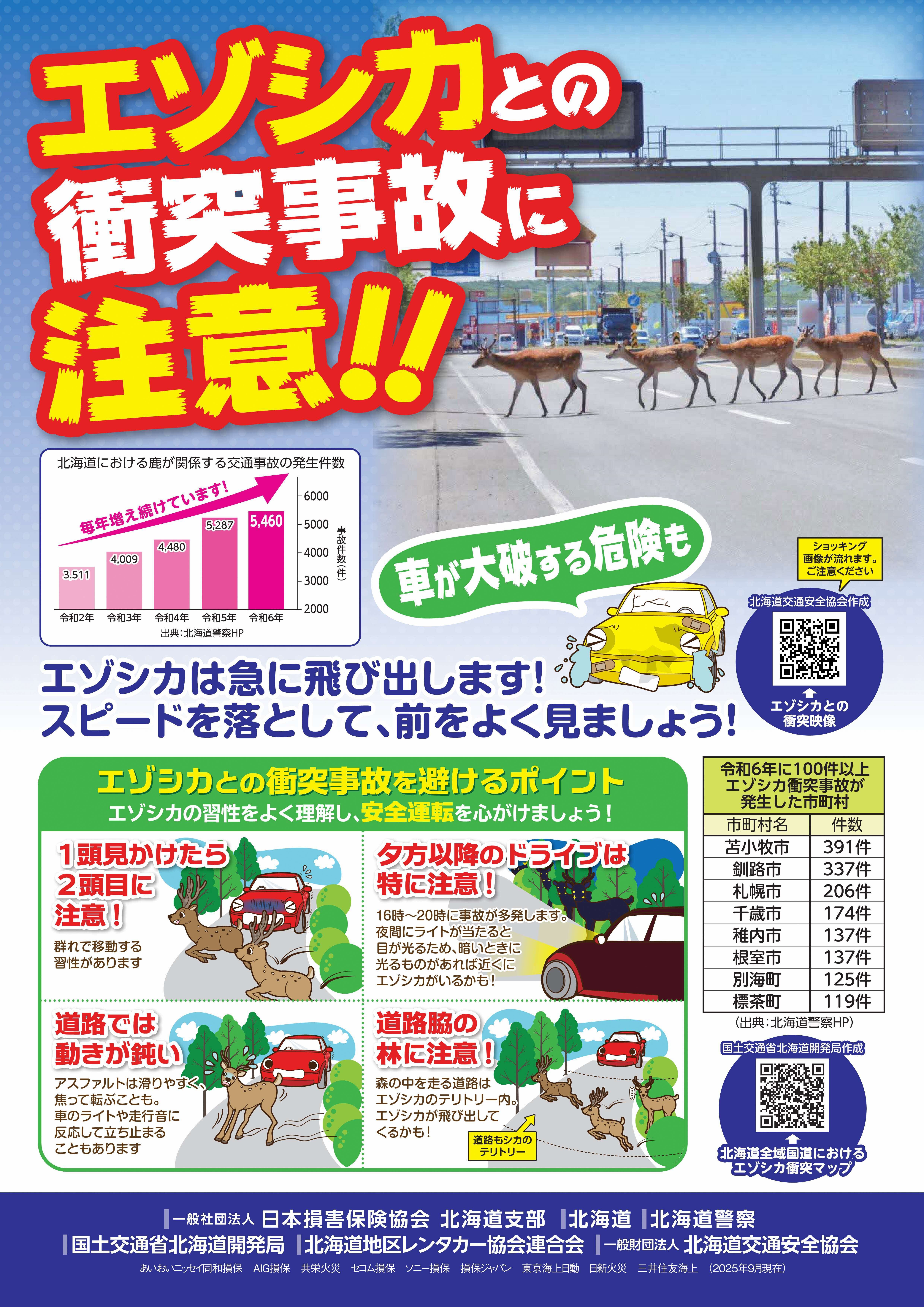 エゾシカとの交通事故防止について - 環境生活部自然環境局