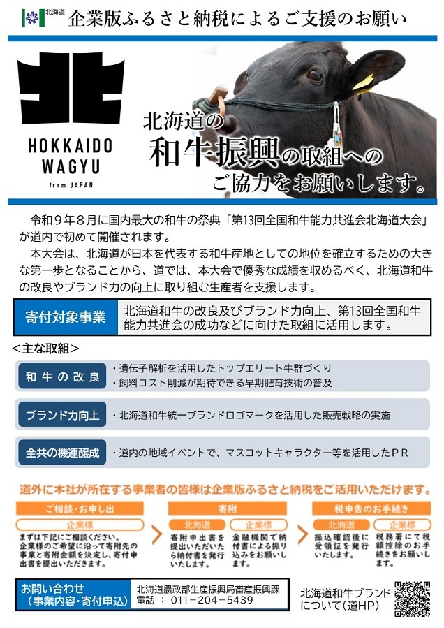 企業版ふるさと納税募集チラシ