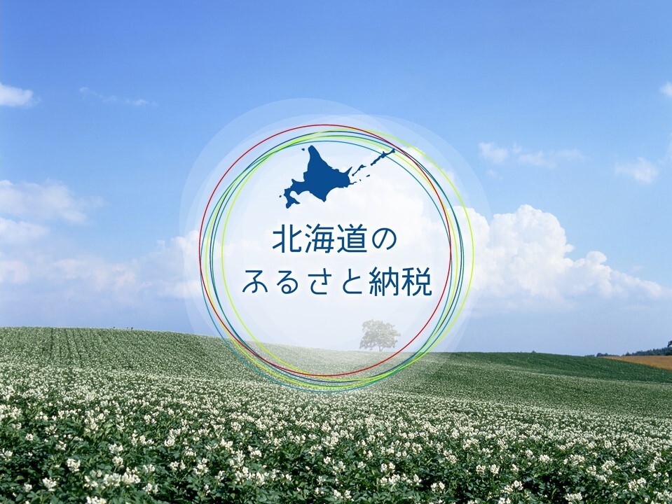 北海道のふるさと納税