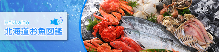 北海道お魚図鑑