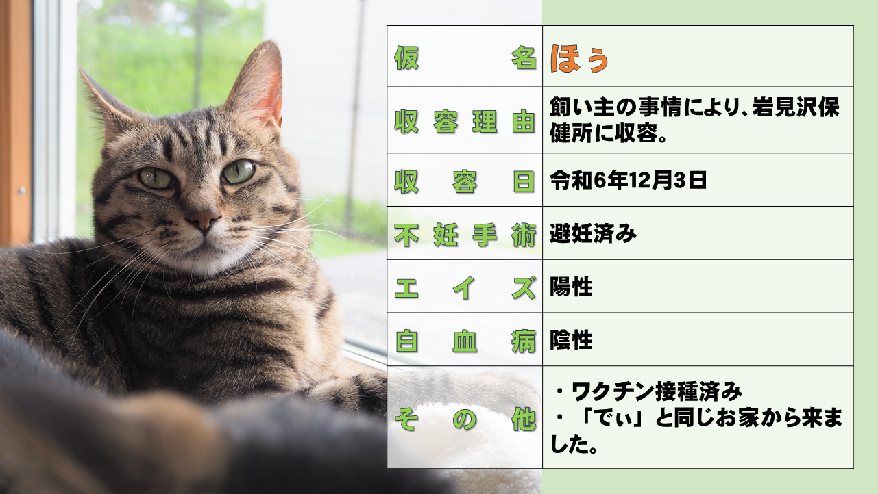 スライド1.PNG