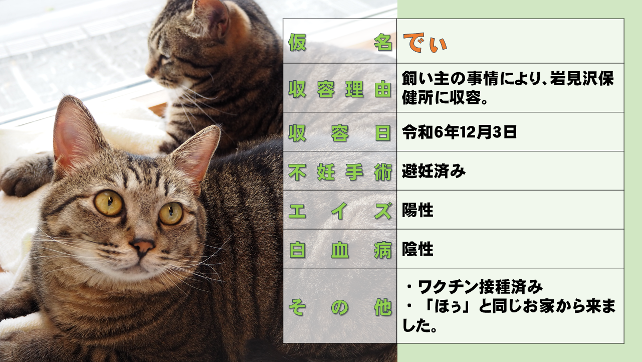 スライド2.PNG