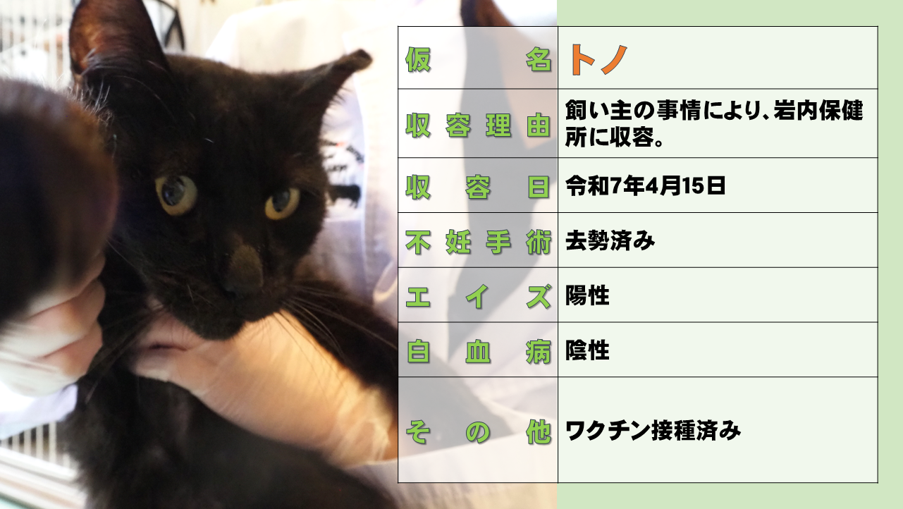スライド4.PNG
