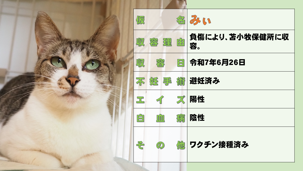 スライド11.PNG