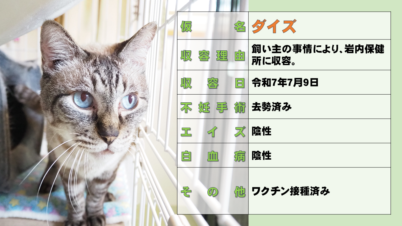 スライド13.PNG