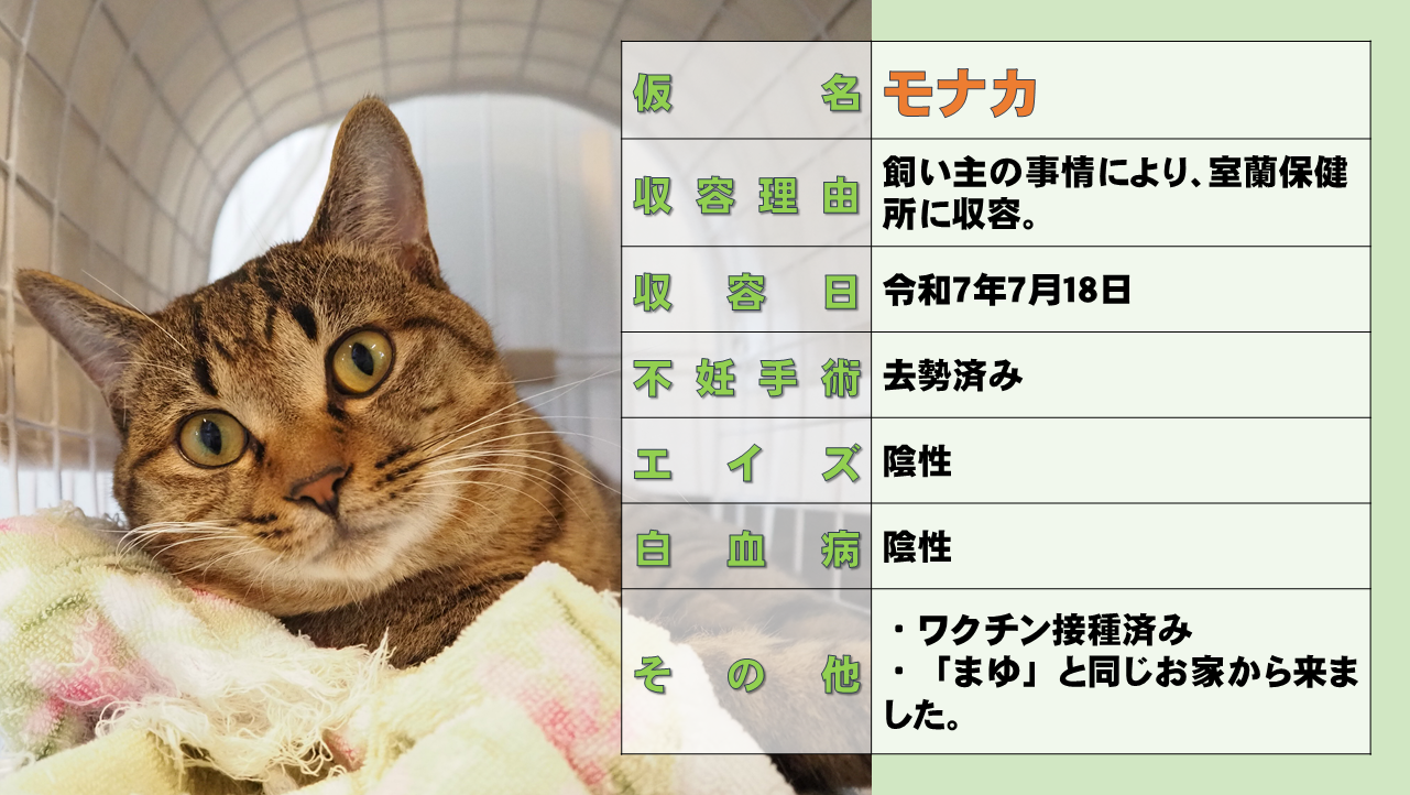 スライド14.PNG