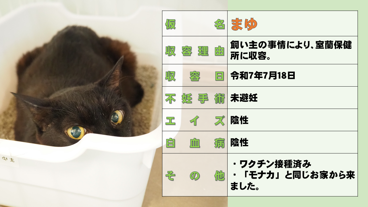 スライド15.PNG