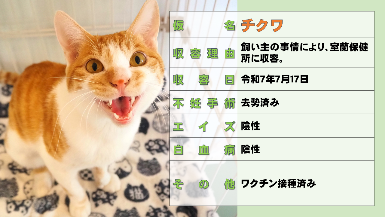 スライド17チクワ.PNG