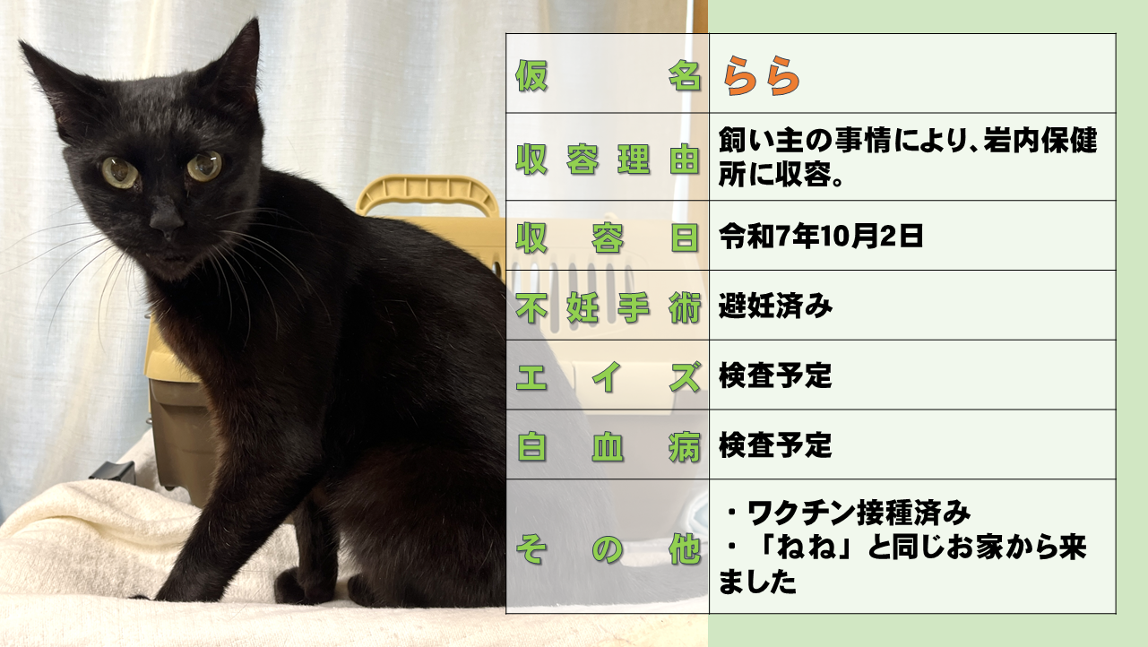 スライド20らら.PNG