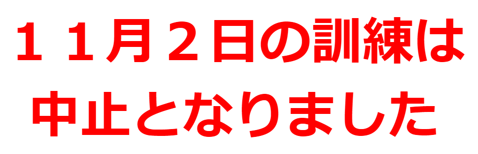 訓練中止 (PNG 13.2KB)