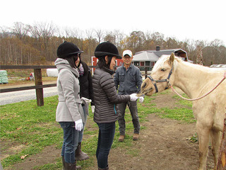 どさんこミュゼ株式会社