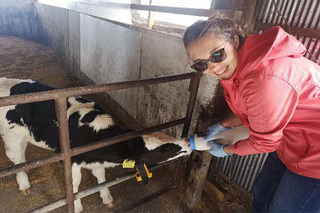 株式会社プライズファーム