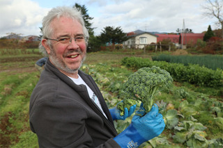 野菜収穫体験-2