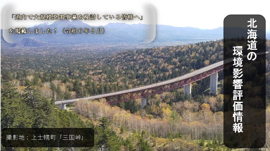 三国峠(秋) (JPG 224KB)