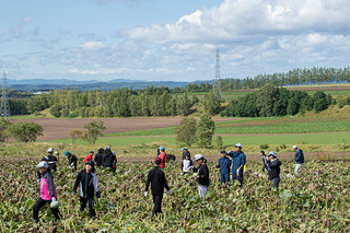 株式会社 大地のMEGUMI