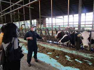 ushiyado（朝の牧場散策）
