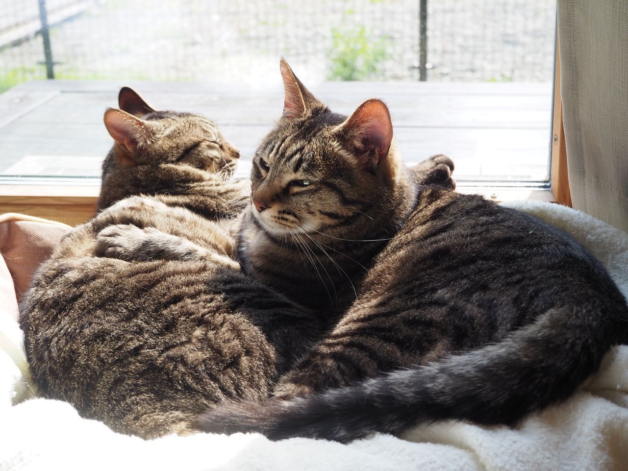 250528ほうでい (8).jpg