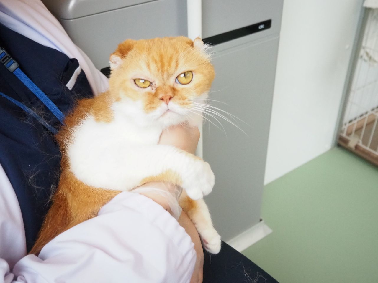 250703らいす (6).jpg