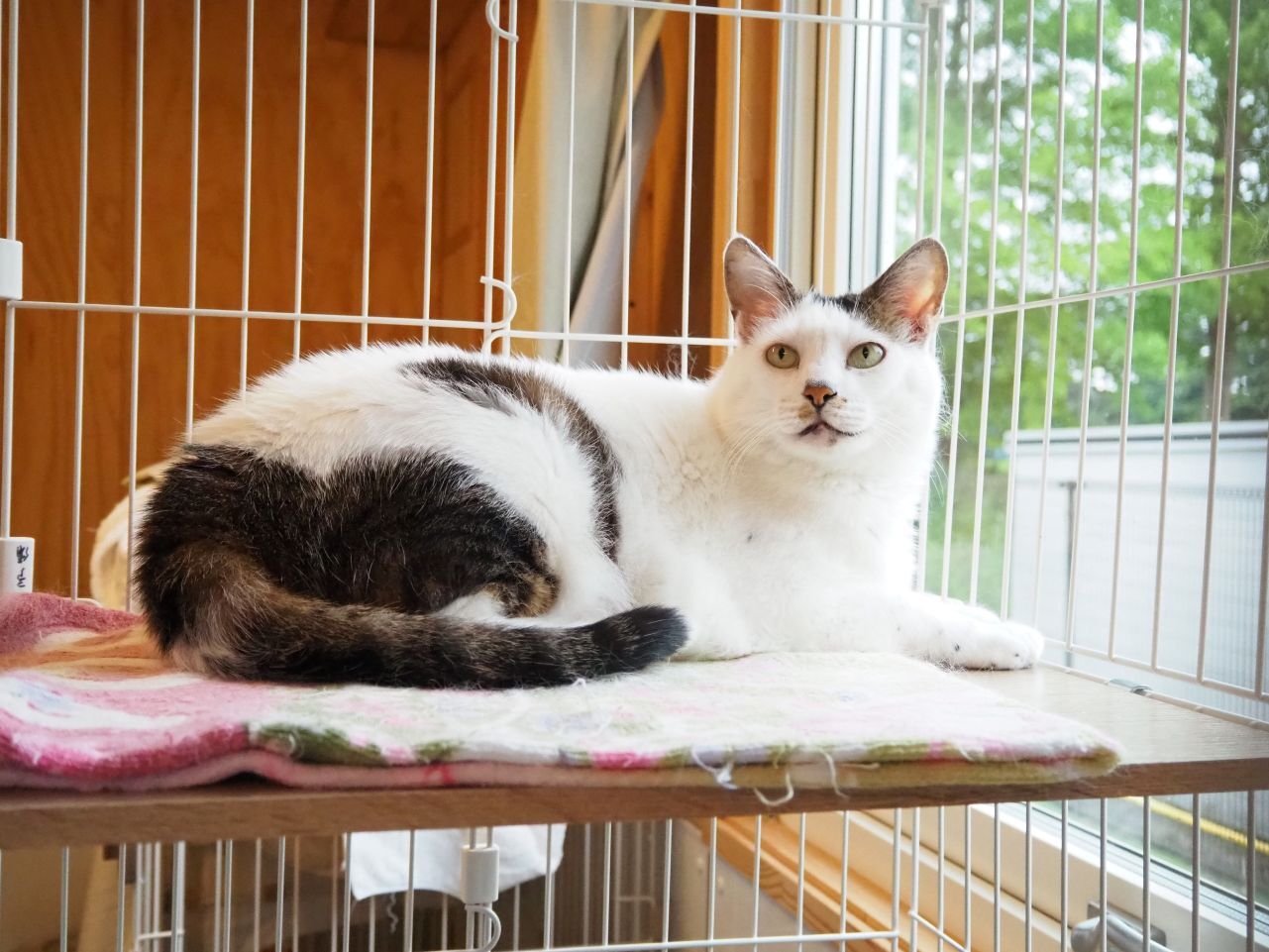 250808カナデ (1).jpg