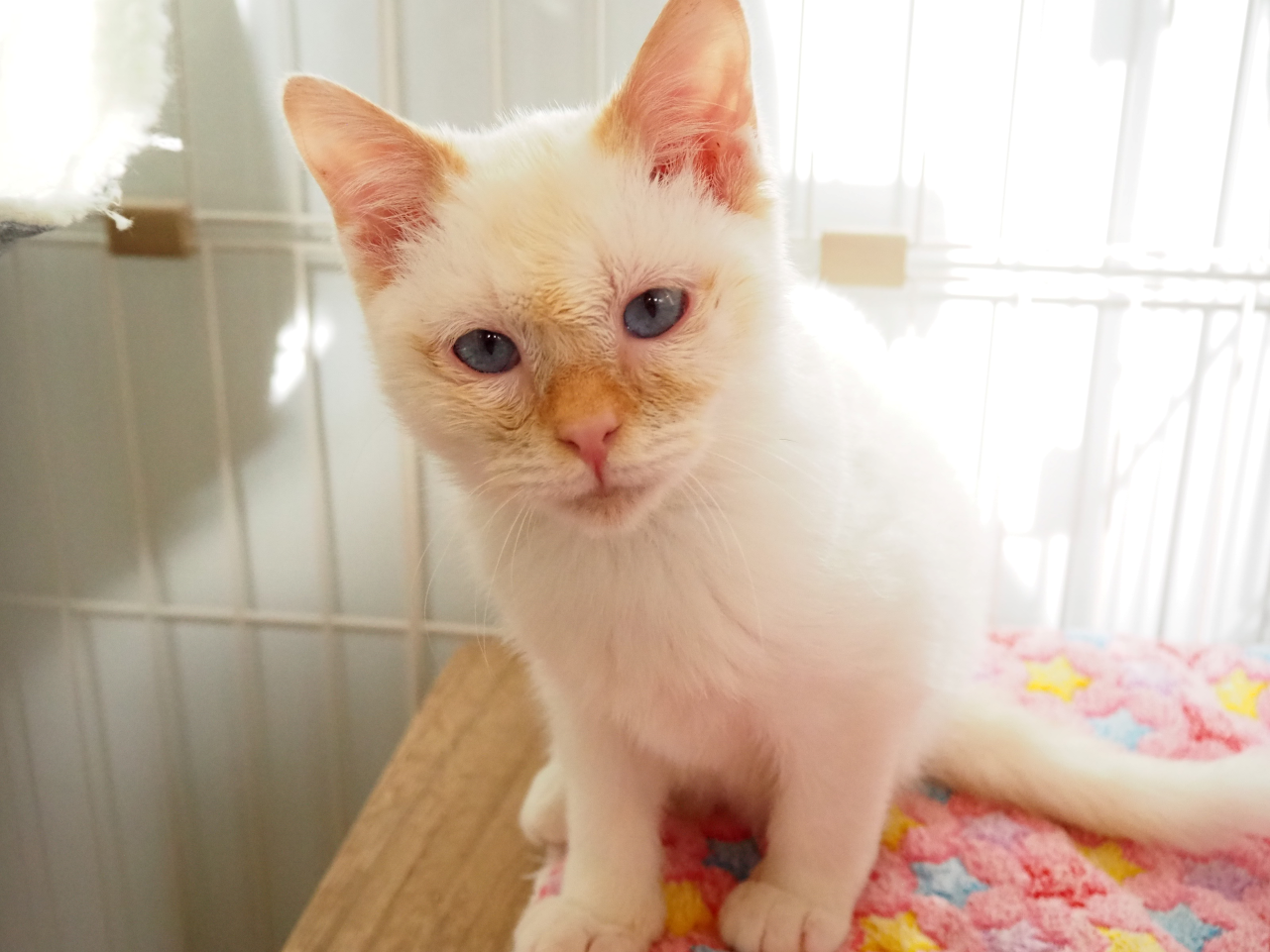 251104ブラン (1)Re.png