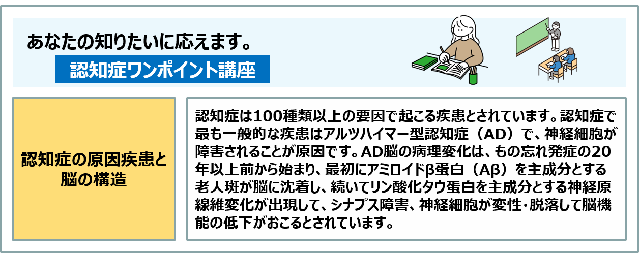 コラム:認知症は100種類以上の要因で起こる疾患とされています。最も一般的な疾患がアルツハイマー型認知症(AD)で、神経細胞が障害されることが原因です。AD脳の病理変化は、もの忘れ発症の20年以上前から始まっているとされています。