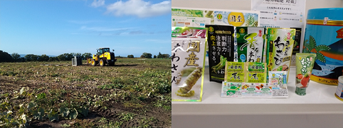 金印さまほ場と商品