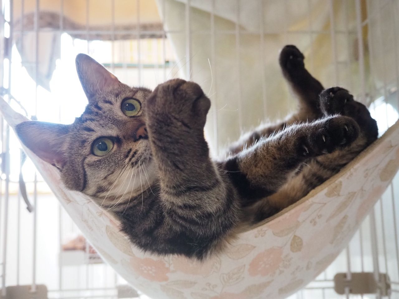 2505828でい (6).jpg