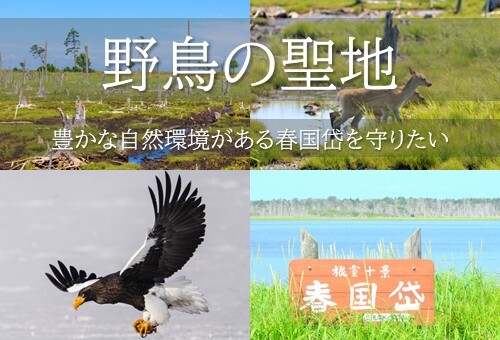 01_タイトルイメージ(フリー素材を基に作成) (JPG 61.2KB)