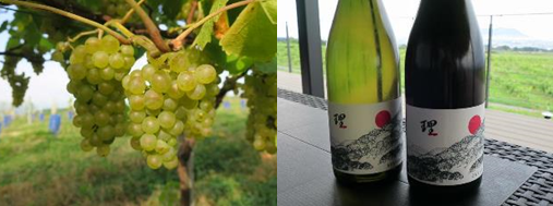 シャルドネとワイン