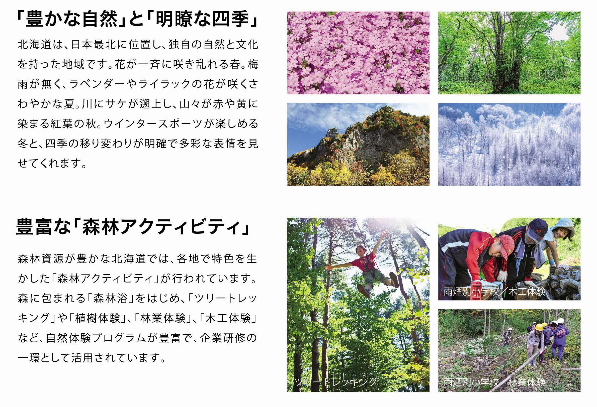 豊かな自然と明瞭な四季、豊富な森林アクティビティの写真と説明