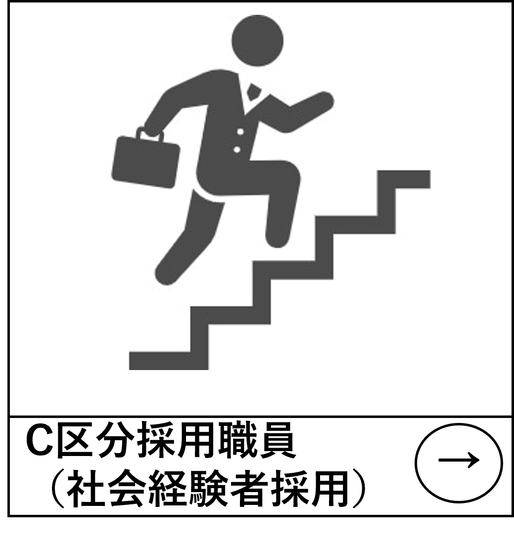 C区分