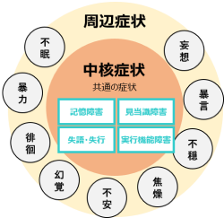 認知症の症状を示すイメージ図。中核症状の周りを周辺症状が囲んでいる。.png