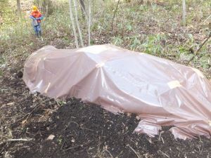 くん蒸作業の様子