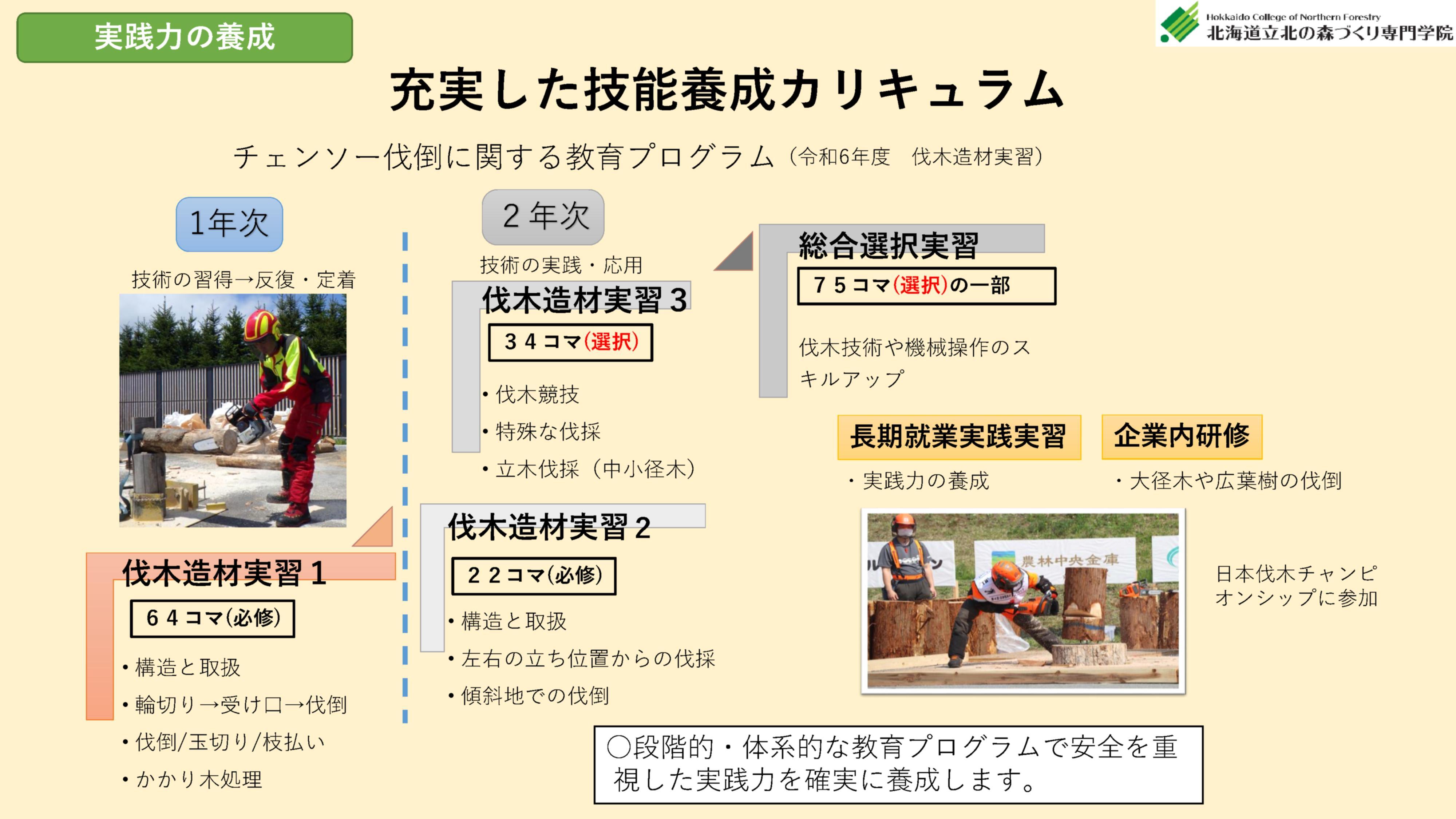 段階的かつ体系的なチェーンソーの技術習得