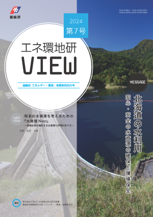 eeg-view_surface (PNG 203KB)