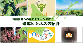 240221~TOP用 (PNG 107KB)