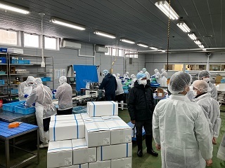 魚介類の梱包作業