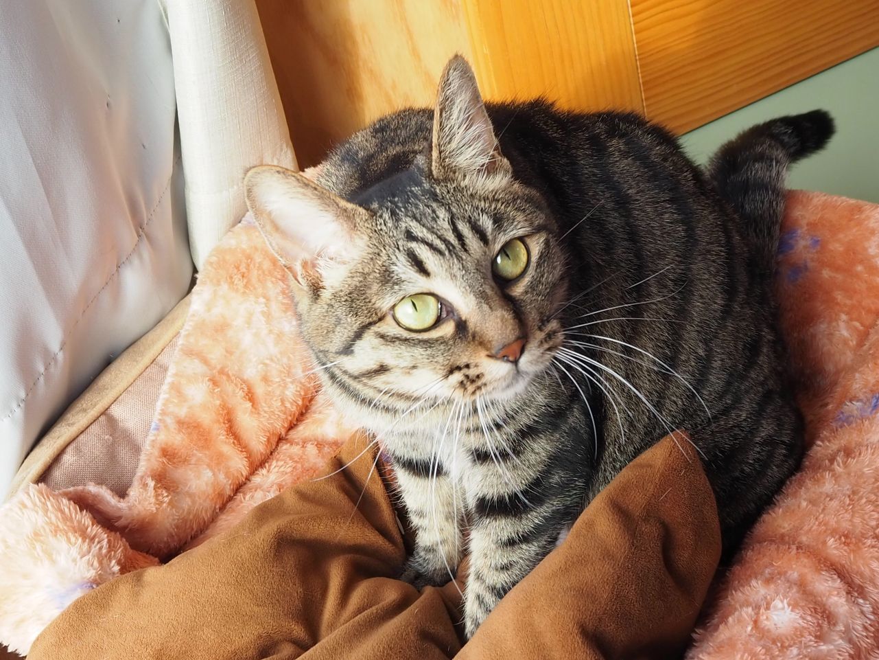 260107ほぅ (2).jpg