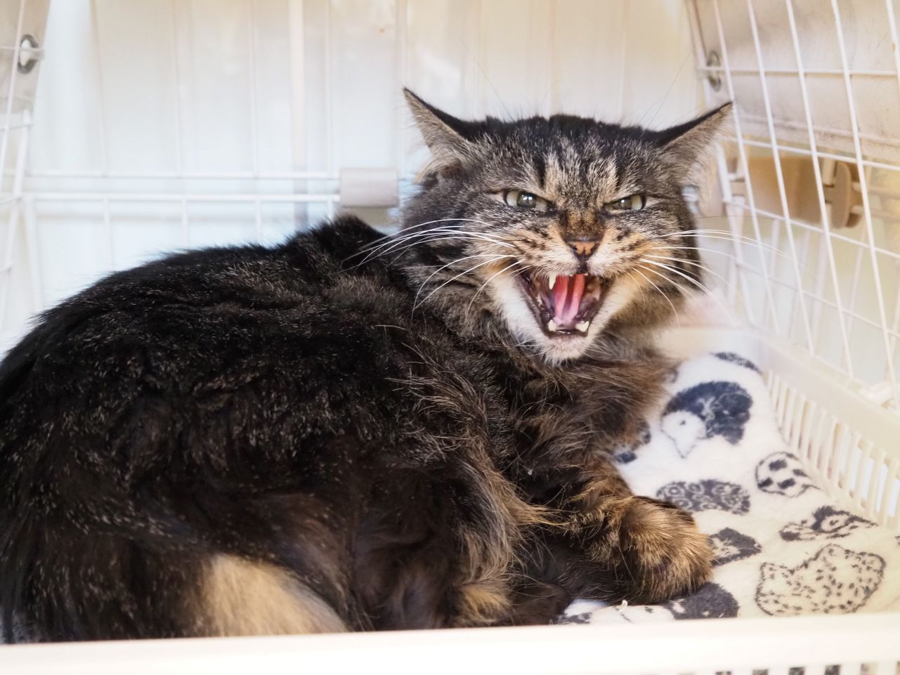 260128おじょう (4).jpg