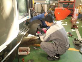 1年10月川口 (JPG 15KB)