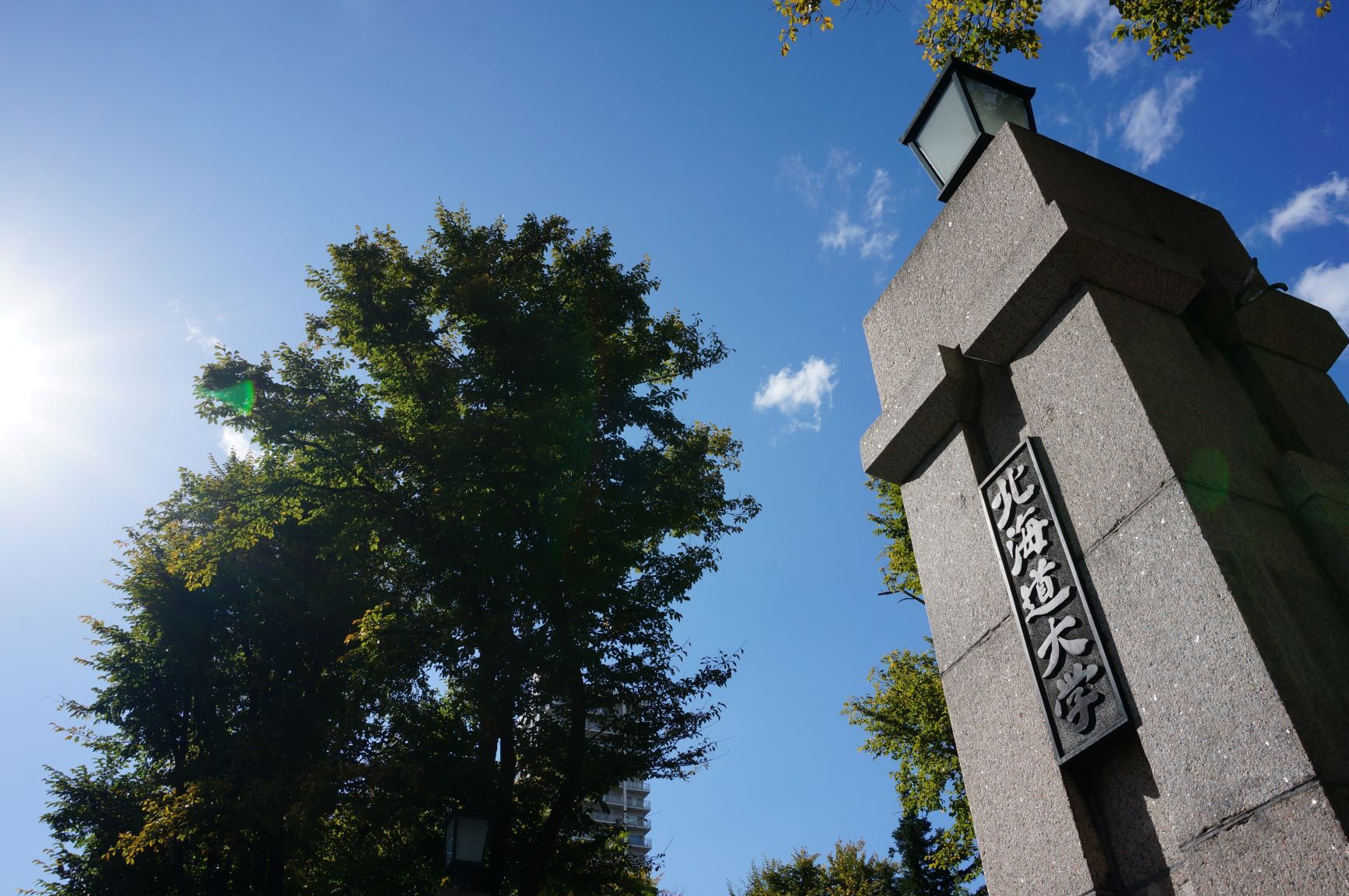 (サイズ変更1)c14_01 (JPG 338KB)