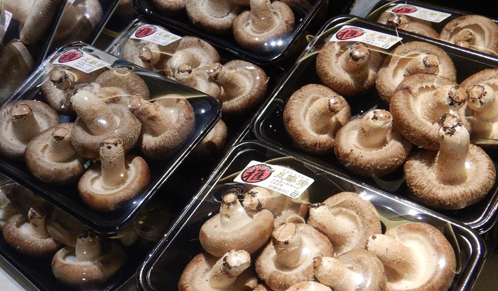 直売所の様子　しいたけ販売の様子