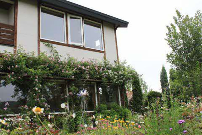 丹頂が見える店 どれみふぁ空